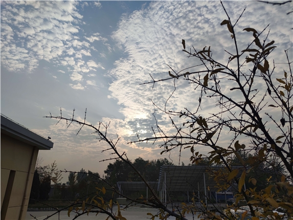 1610509193951.jpg