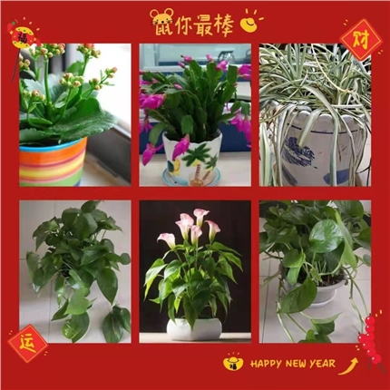 微信图片_20210205095328.jpg 微信图片_20210205095328.jpg