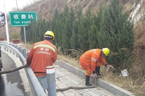 绿化浇水养护.jpg