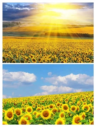 e9e6dcc3cef5aae2c75f6c7c923d2c3.jpg
