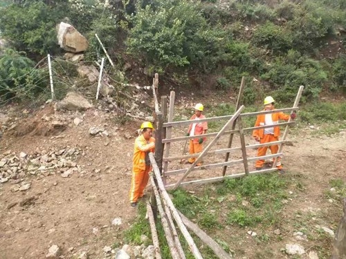 依法拆除桥下违建.jpg