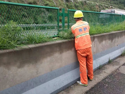 中央分隔带除草.png