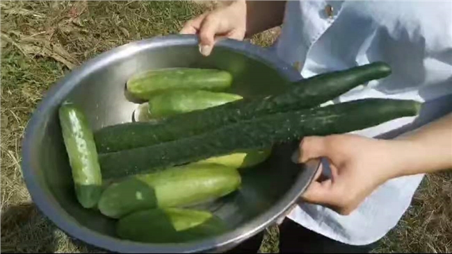 微信图片_20210812143503.jpg