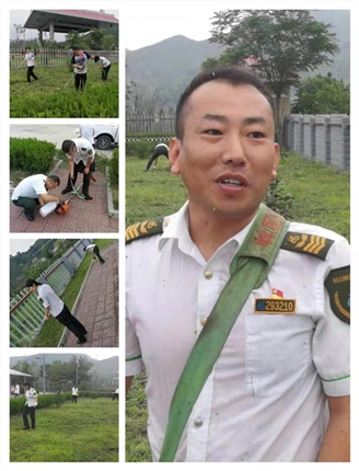 打草.jpg