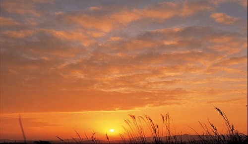 src=http___www.jxjihai.com_upLoad_image_20191220_15768059875042112.png&refer=http___www.jxjihai.jpg