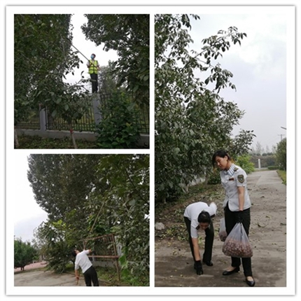 initpintu_副本.jpg