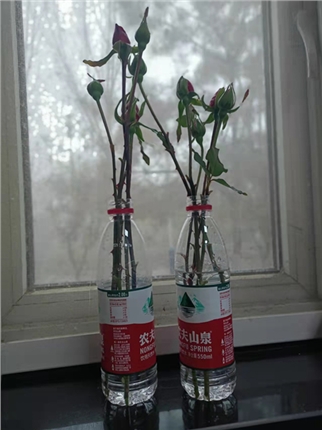 703cadb8_副本.jpg