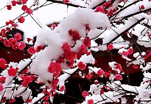 微信图片_20211206150727.jpg