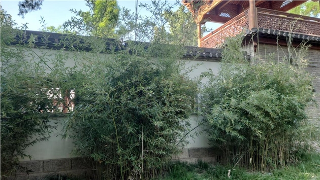 图片1.png 图片1.png