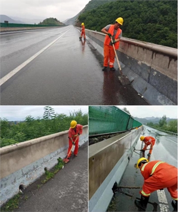 8.9强降雨应对.png