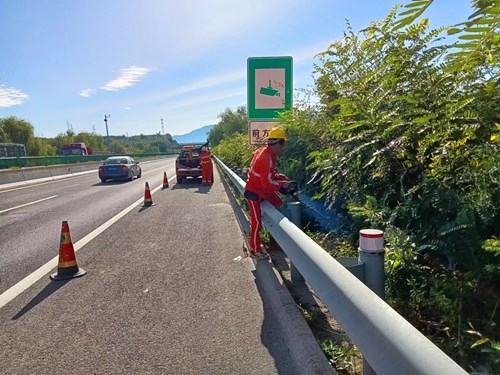及时修剪遮挡标志牌树木.jpg