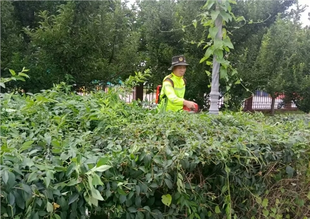 整治环境1.jpg 整治环境1.jpg