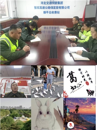 45462.jpg 45462.jpg