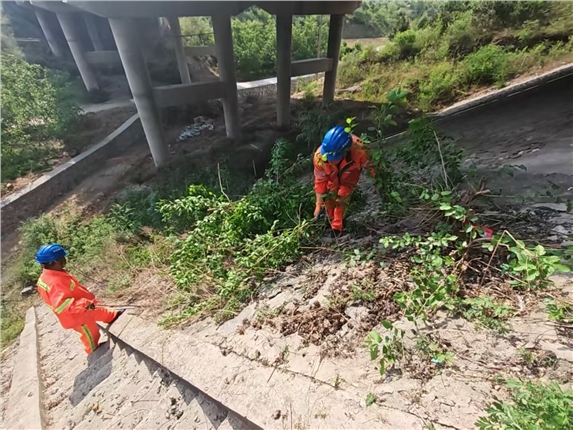 开展桥下及边坡杂草清理行动 筑牢道路安全防线.jpg 开展桥下及边坡杂草清理行动 筑牢道路安全防线.jpg