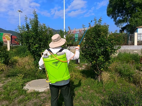 绿植防虫管护.jpg 绿植防虫管护.jpg