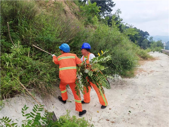 易县养护工区清理辖区护坡顶杂草杂树 筑牢道路安全防线.png