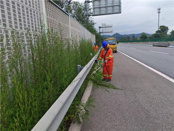 易县养护工区清理路肩杂草 美化路容保障通行.png